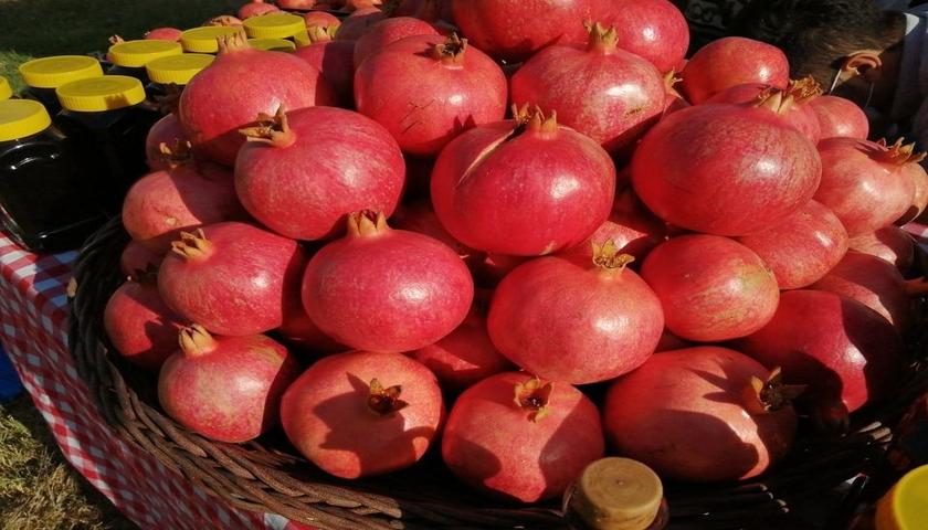 جشنواره انار و پاییز حلبچه، شکوفایی فرهنگ و کشاورزی در قلب کردستان