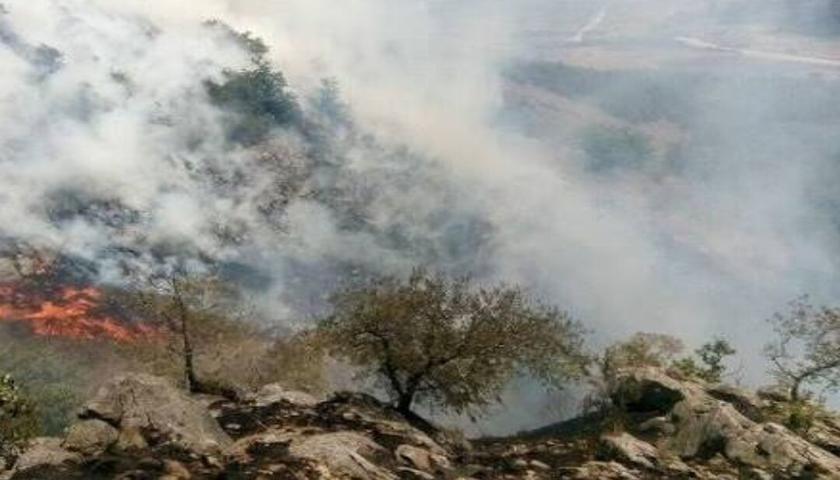 آتش‌سوزی گسترده در مراتع گیلانغرب مهار شد/ خسارت به ۳۵ هکتار از اراضی مشجر