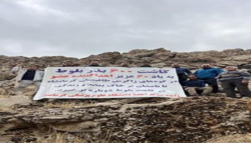 چاندنی 600 تووی بەڕوو لە بناری تاق وەسان بۆ بەرز ڕاگرتنی یادی 60 بەخشێنەری ئەندام، لە پارێزگای کرماشان 