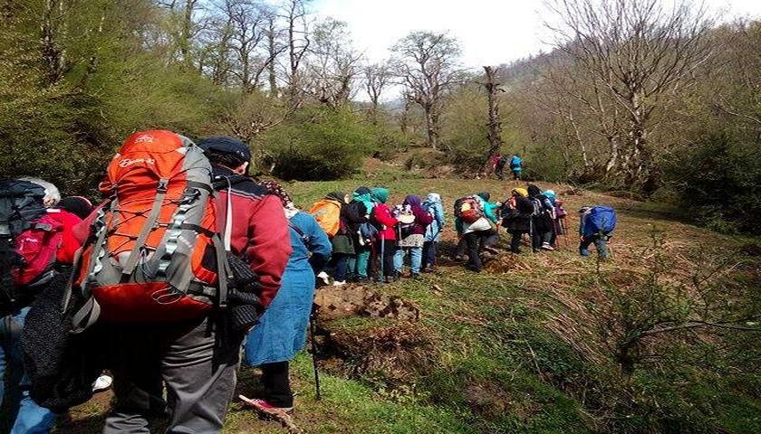 زنگ خطر تورهای غیرمجاز در کرمانشاه