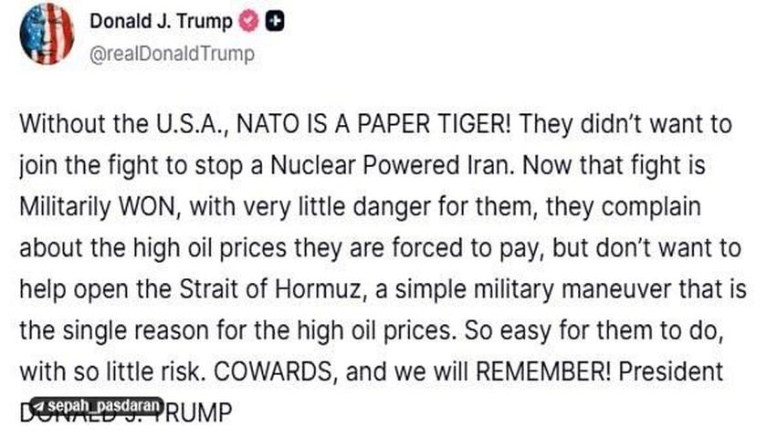 عصبانیت و فحاشی ترامپ به ناتو: ترسوها! بدون آمریکا ببر کاغذی هستید