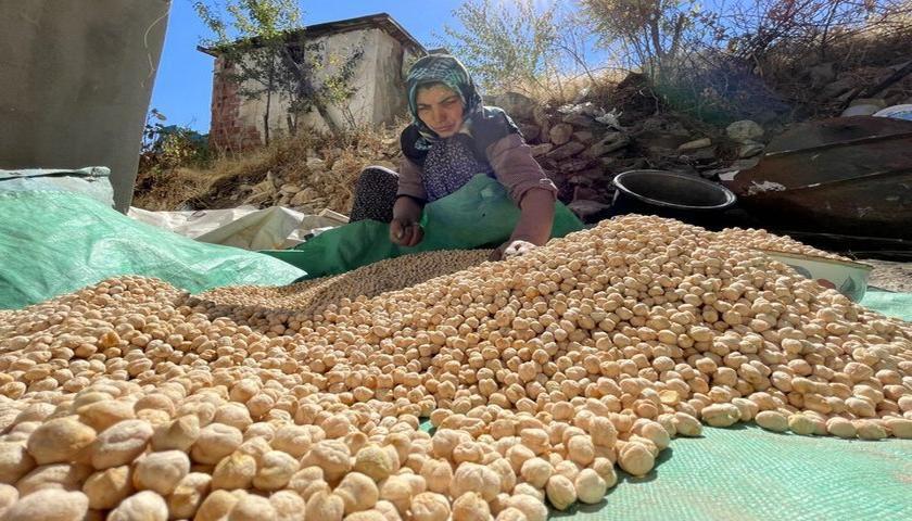 نۆک؛ دەرفەتی زێڕینی کرماشان بۆ داگیرکردنی بازاڕی عێراق