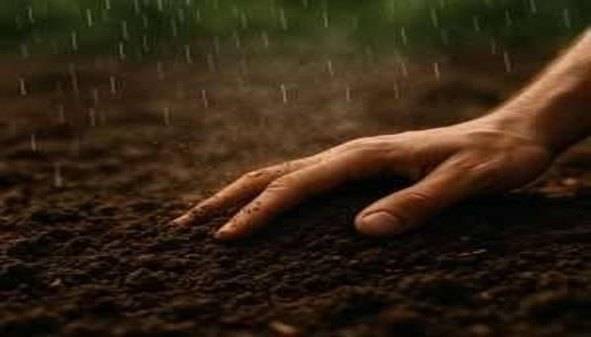 بوی دلنشین خاک خیس