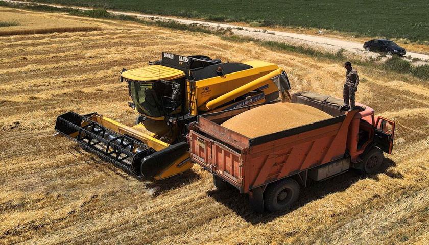 خرید بیش از ۲۱۱ هزار تُن گندم از کشاورزان کردستانی