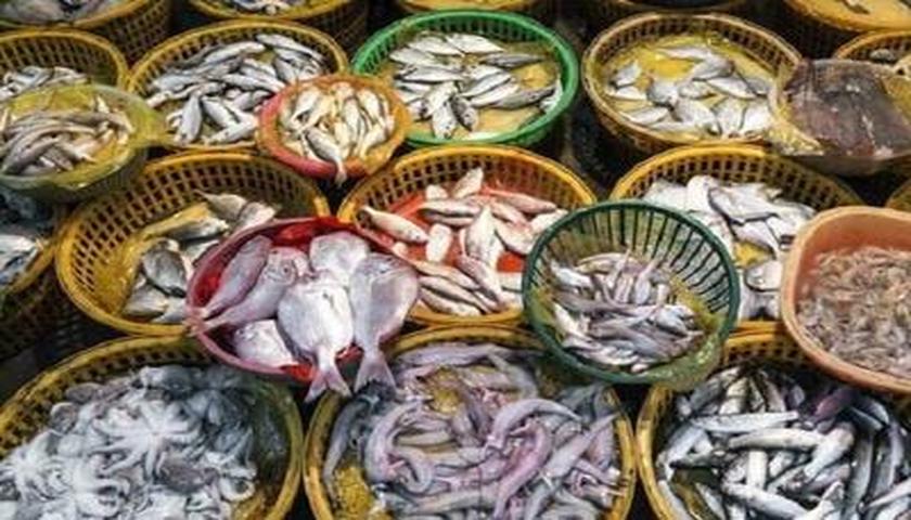 شیلات کرمانشاه در مسیر ارز آوری؛ صادرات گونه‌های با ارزش در اولویت مسئولان