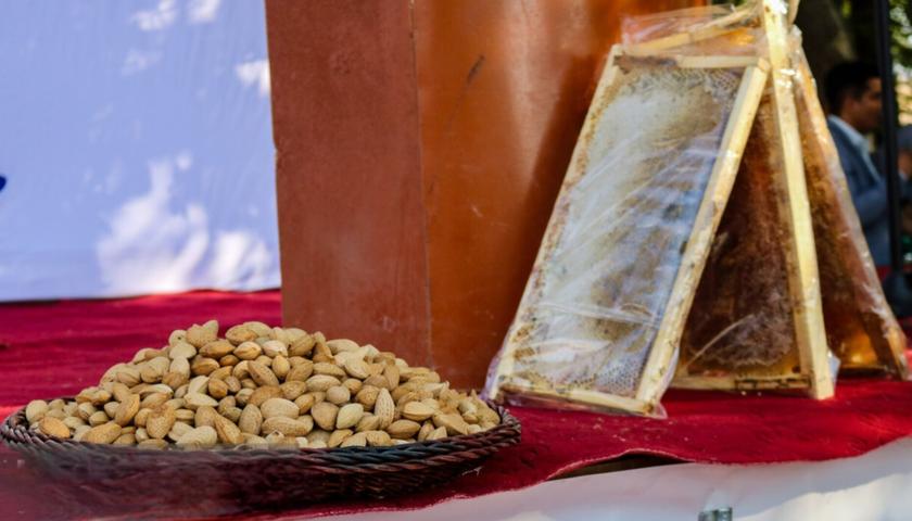 ثبت ملی جشنواره بیلوار؛ فرصتی برای رونق گردشگری و توسعه تورهای یک‌روزه