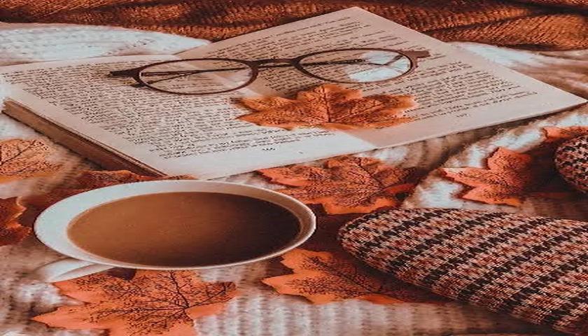 پاییز؛ نامەیەک کە بە با دەگات / سوهەیلا کەرەمی