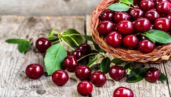 باشترکردنی کوالیتی خەو و تەندرووستی دڵ لەگەڵ ئەم میوەی هاوینەدا