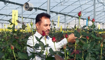 از روستای ده‌کبود تا قله افتخار ملی؛ داستان مردی که با رزهایش به ایران عطر موفقیت داد