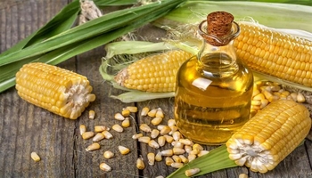 تایبەتمەندی و سوودەکانی ڕۆنی گەنمەشامی