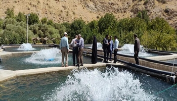 بهره برداری از يك مزرعه پرورش ماهی ۴۰ تنی در صحنه