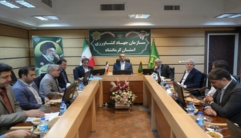 استاندار کرمانشاه تاکید کرد: لزوم حرکت به سمت کشاورزی صادرات‌محور