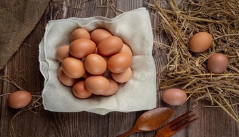 تایبەتمەندییە گرنگەکانی هێلکە بۆ جەستە