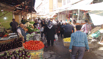 توزیع ۱۰۰ تن سیب‌زمینی با قیمت مصوب ۴۸ هزار تومان در بازار کردستان