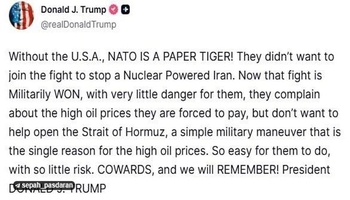 عصبانیت و فحاشی ترامپ به ناتو: ترسوها! بدون آمریکا ببر کاغذی هستید