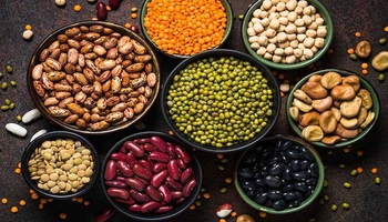 بۆچی پاقلەمەنی بۆ تەندرووستی سوودبەخشە؟